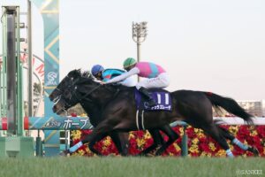 【鳴尾記念 調教診断】抜群のS評価は2頭！注目のグランヴィノスやオールナットの状態は？