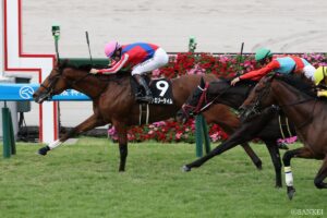 【中日新聞杯 能力分析】元トラックマンが有力馬を10段階評価！気になるファミリータイムなどの評価は？