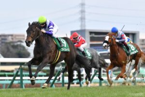 的中で人生激変…？WIN5歴代高額払戻金ランキング【第3位】テンハッピーローズの3年後を見据えた伏線？