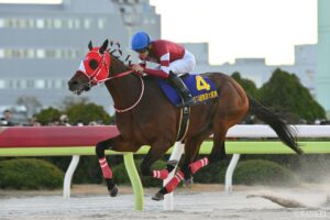 【東京大賞典・3連単低配当ランキング】トリガミに要注意…？それでも絶対見るべき“年末決戦”