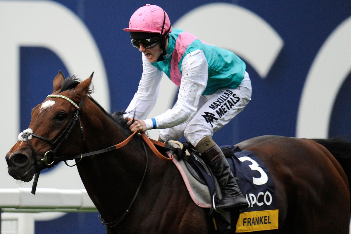 2012年英チャンピオンステークスを制した時のフランケル(Photo by Alan Crowhurst/Getty Images)
