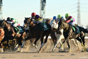 【カペラS 前走レビュー】有力馬を10段階評価！クロジシジョーやヤマニンチェルキの前走内容は？