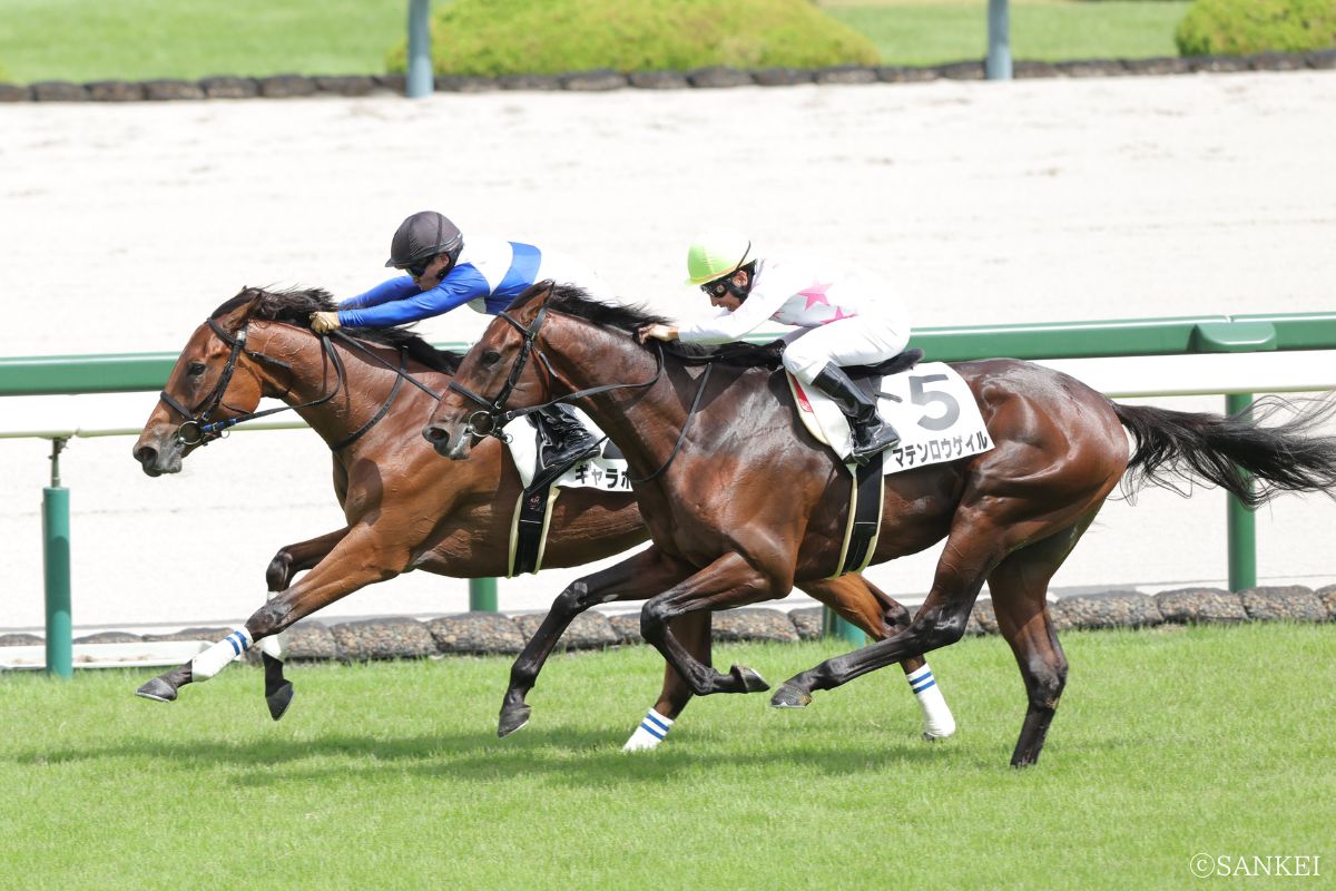 2025年9月13日未勝利戦(阪神)1着ギャラボーグ