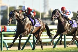 高齢馬G1勝利ランキング【第5位】人馬ともにG1初制覇！最高のパートナー荻野極騎手と出会って…