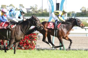 GⅡ金鯱賞のデータ分析【過去の結果 – 1980年以降 ｜ 重賞データ 】