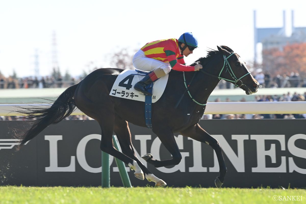 2025年11月30日2歳新馬(東京)を制したゴーラッキー