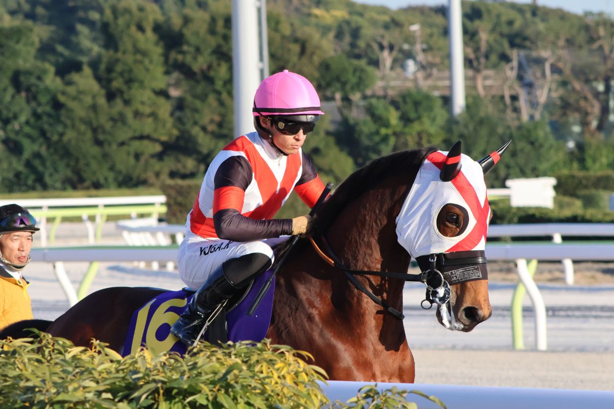 返し馬・グランブリッジと川田将雅騎手
