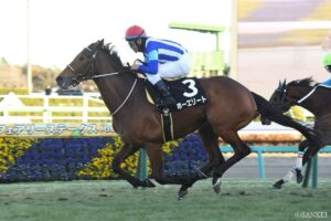 【ステイヤーズS 調教診断】A評価は4頭の混戦！注目が集まるホーエリートやチャックネイトの状態は？