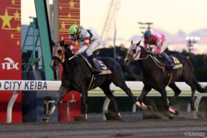 トリガミに要注意？東京大賞典・3連単低配当ランキング【第1位】6点買いで赤字？ただただ見守りたい一戦