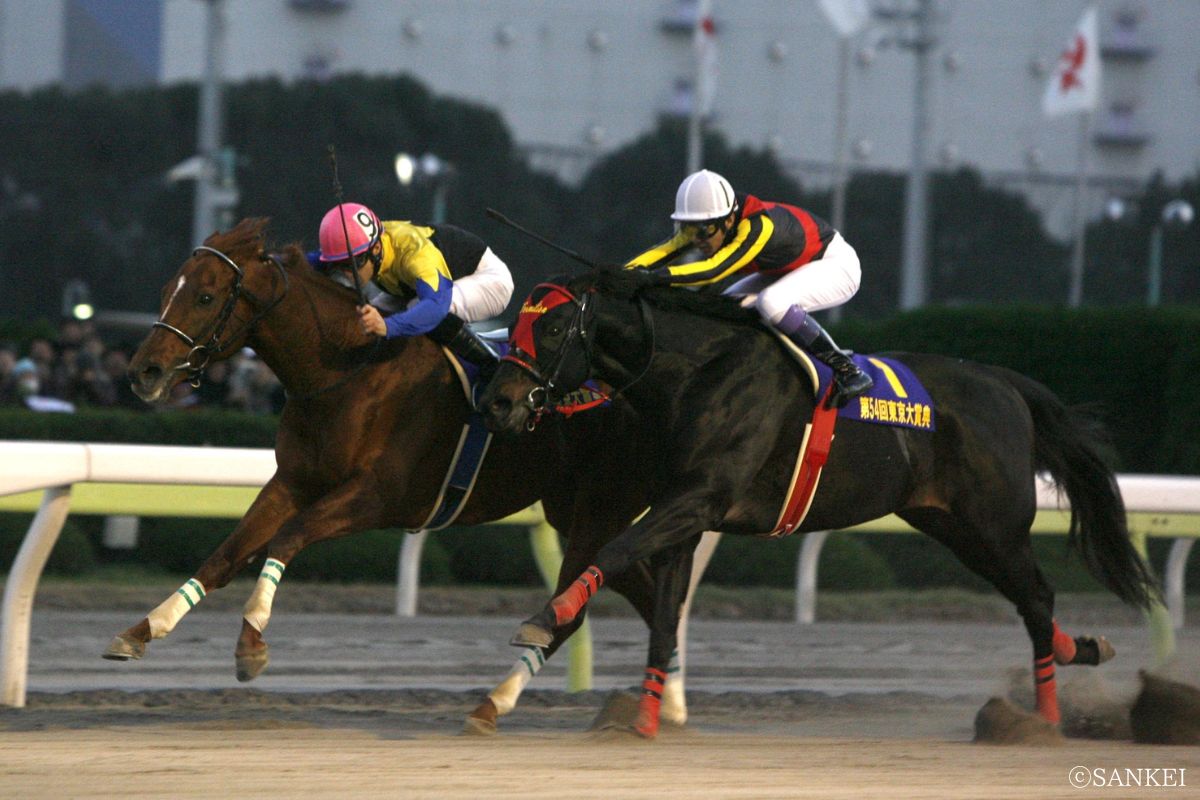 2008年東京大賞典を制した時のカネヒキリ