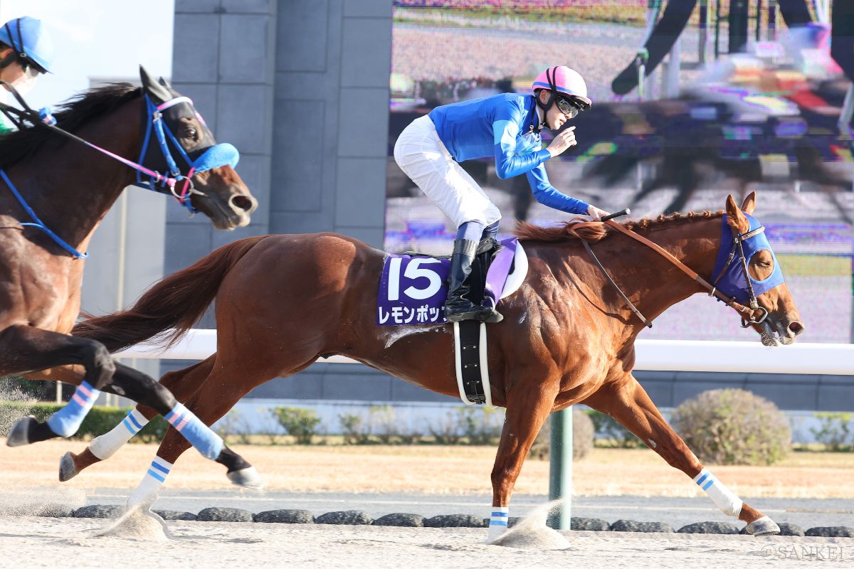 2023年チャンピオンズCを制した時のレモンポップ