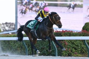 【チャンピオンズカップ 調教診断】断トツS評価は1頭のみ！注目のナルカミやルクソールカフェの状態は？