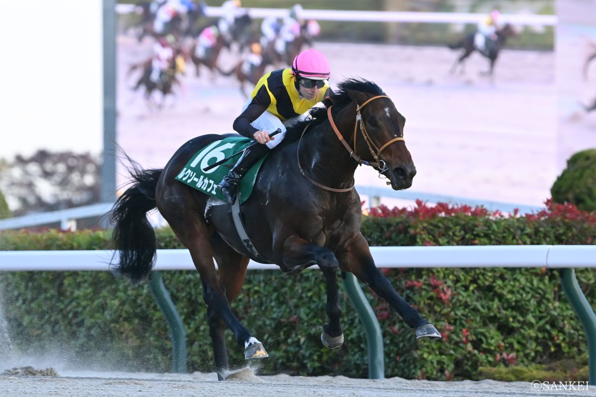 2025年武蔵野Sを制した時のルクソールカフェ