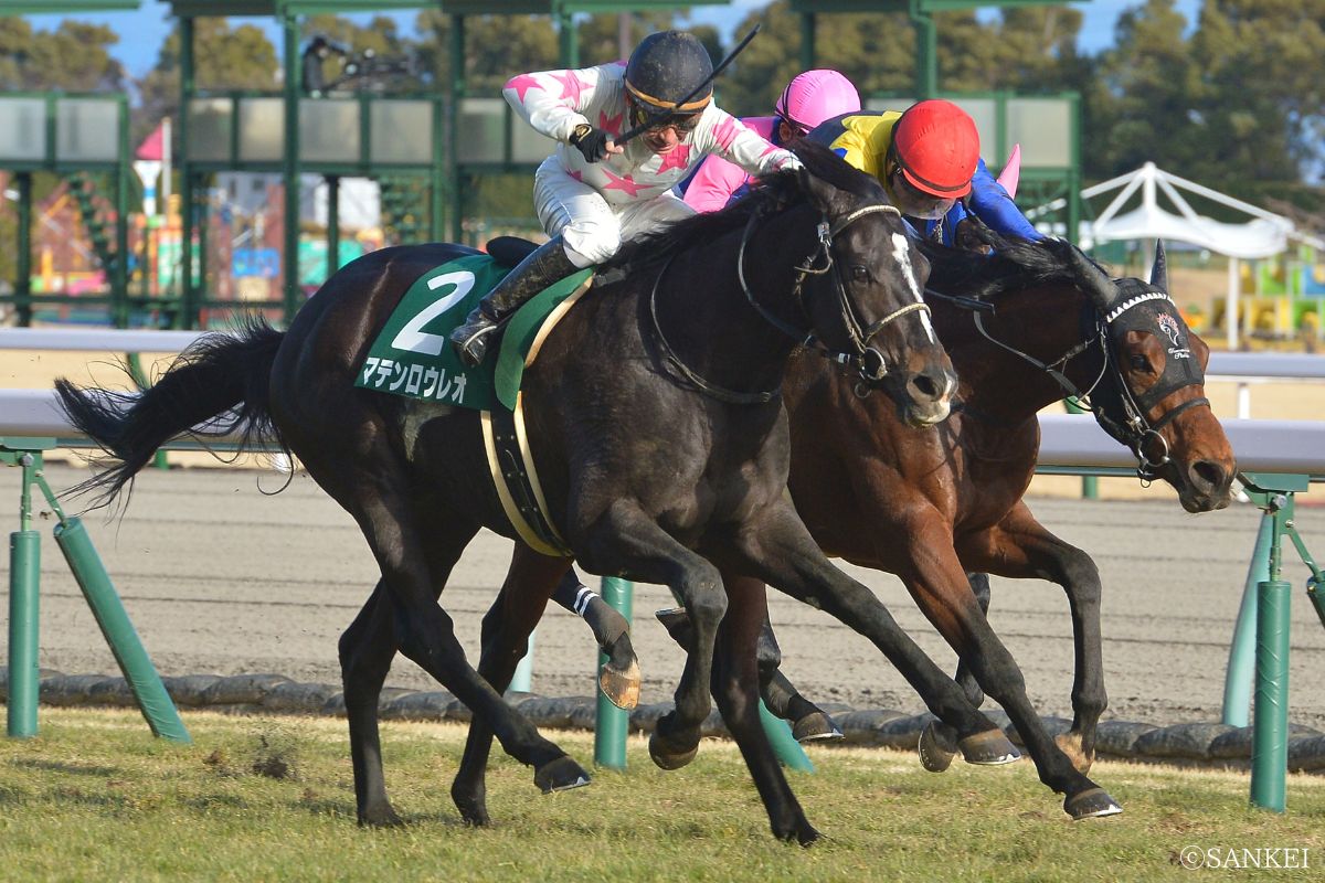 2022年きさらぎ賞を制した時のマテンロウレオ