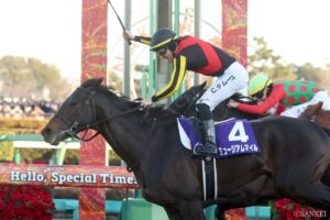 【今週の競馬ニュース5選】③「4歳三銃士」今春の青写真は？ミュージアムマイル、マスカレードボール、クロワデュノール