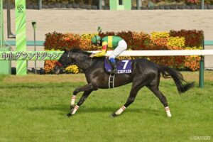 【中山大障害 能力分析】元トラックマンが有力馬を10段階評価！気になるエコロデュエル、ジューンベロシティの評価は？