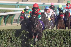 強さと人気の証！単勝支持率がケタ違いのG1（4）まさかの敗北…？障害競走のニュースター