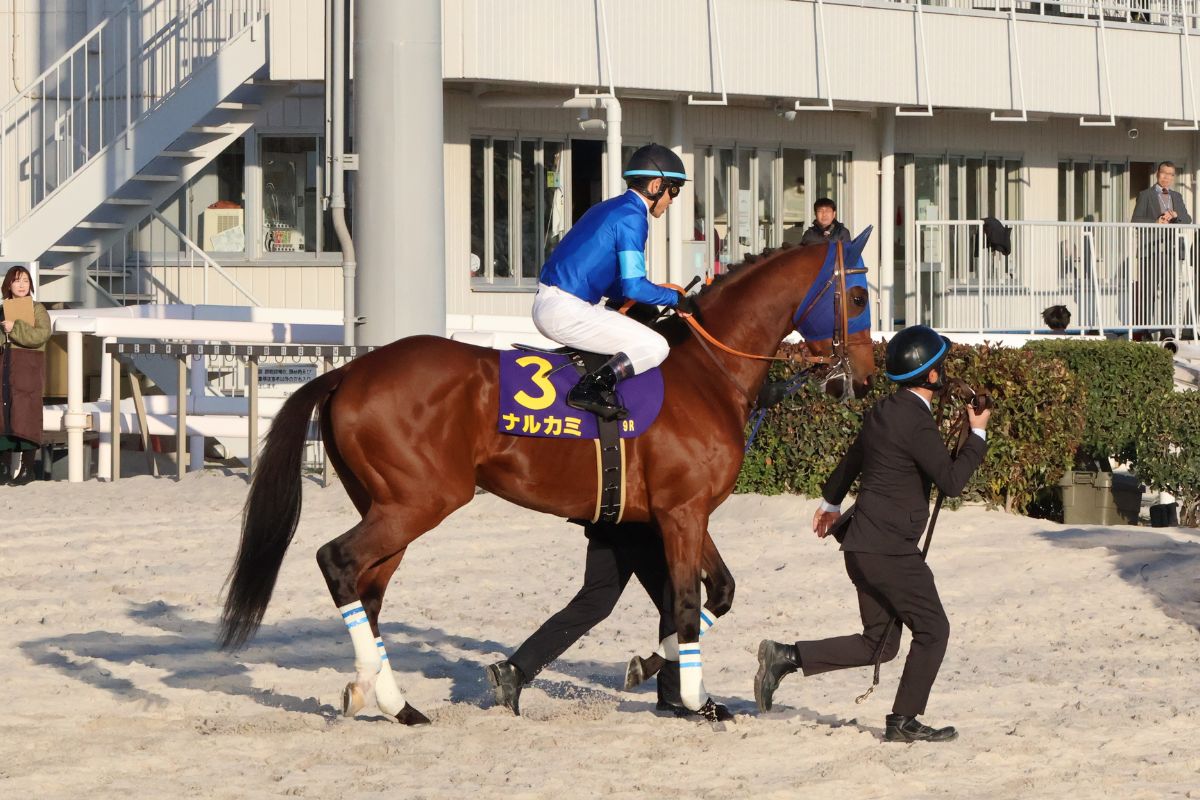 返し馬・ナルカミと戸崎圭太騎手