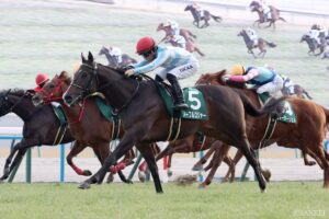 【出馬表】シンザン記念