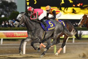 GⅠ東京大賞典のデータ分析【レースレコード・過去の結果 – 1998年以降 】