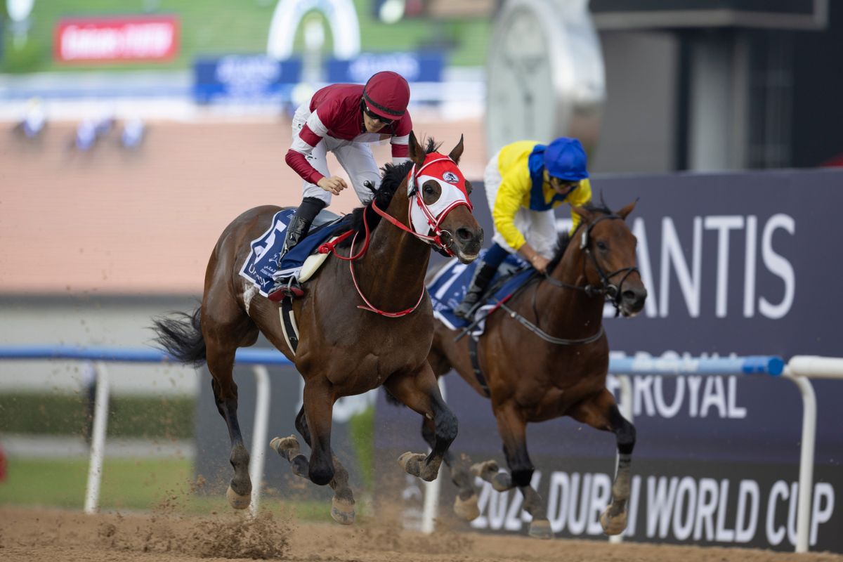 2024年UAEダービーを制した時のフォーエバーヤング(Photo by Neville Hop wood/GettyImages)