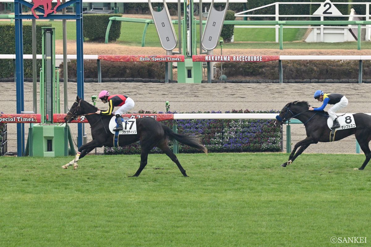 2025年12月20日2歳新馬（中山）/1着プラウディッツ