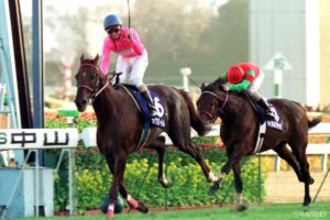 【有馬記念 単勝オッズが高かった激走馬ランキング】（第2位）まさか単勝14番人気が…激走に導いた職人