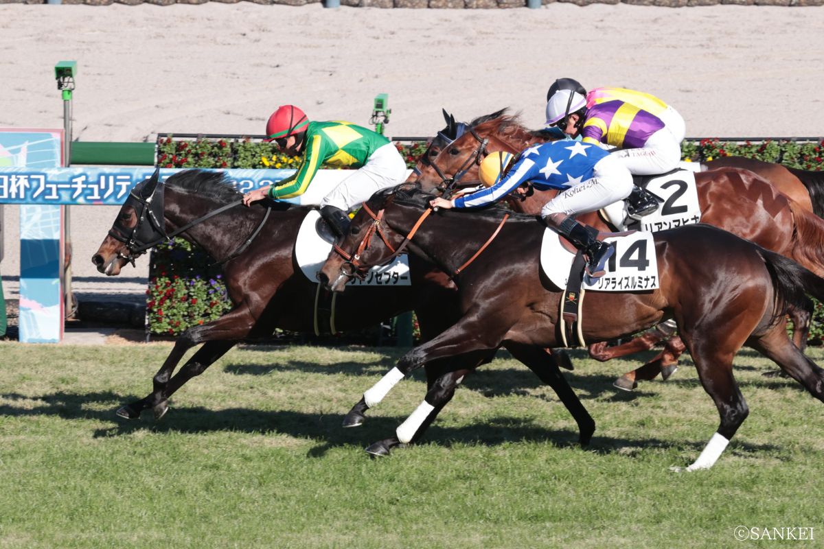 2025年12月20日2歳新馬（阪神）/1着サトノセプター