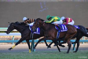 あらゆる要素が影響？有馬記念・馬券売上の上昇率ランキング【第2位】売上400億円超！売上続伸の要因とは？