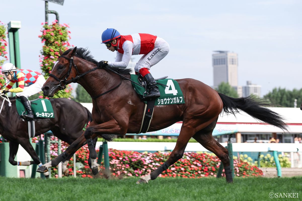 2025年札幌2歳Sを制した時のショウナンガルフ