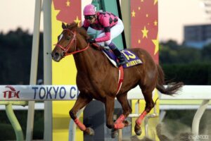 トリガミに要注意？東京大賞典・3連単低配当ランキング【第5位】単勝1.0倍…断然人気の名馬とは？