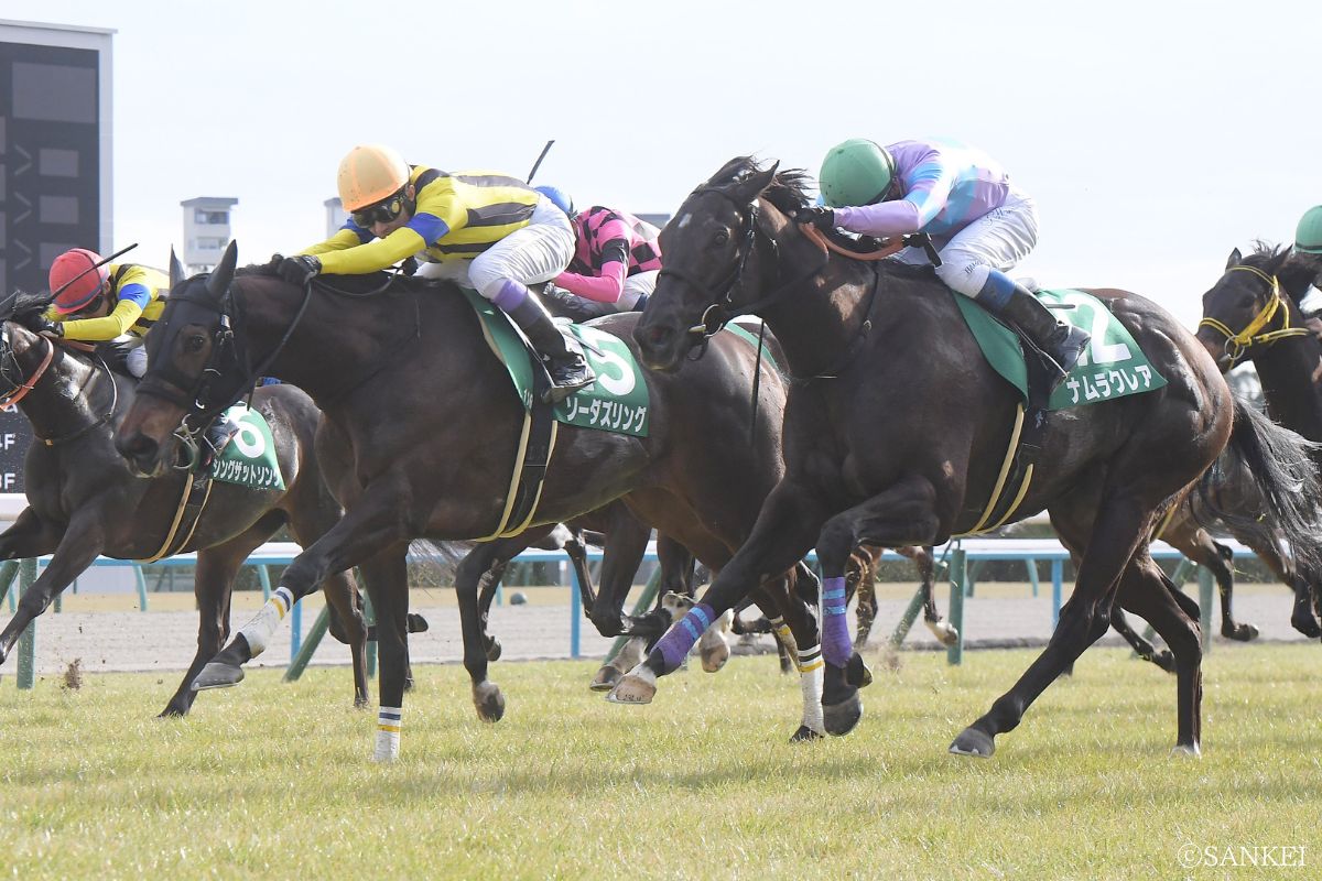 2024年京都牝馬Sを制した時のソーダズリング
