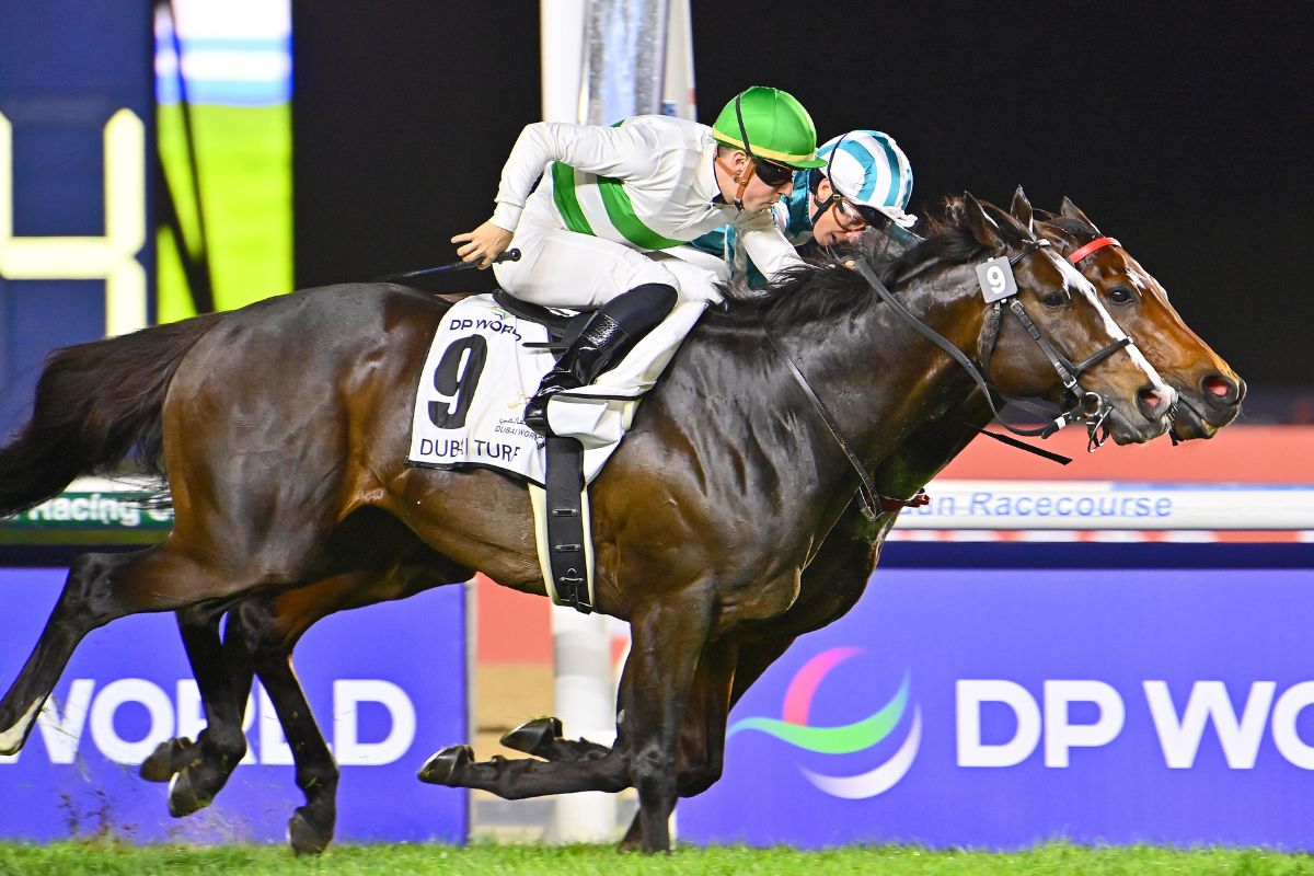 2025年ドバイターフを制したソウルラッシュ（撮影・Katsumi.Saito=産経）