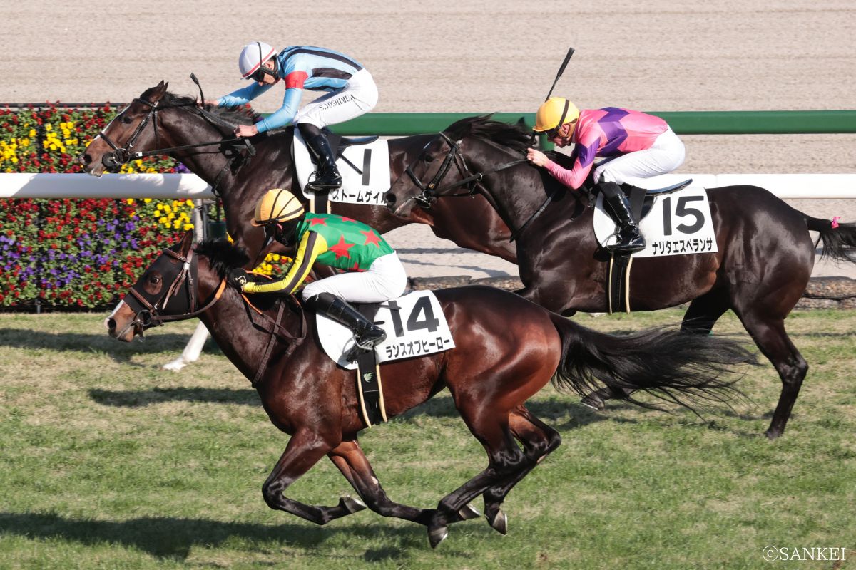 2025年12月28日 阪神・2歳未勝利/1着ストームゲイル