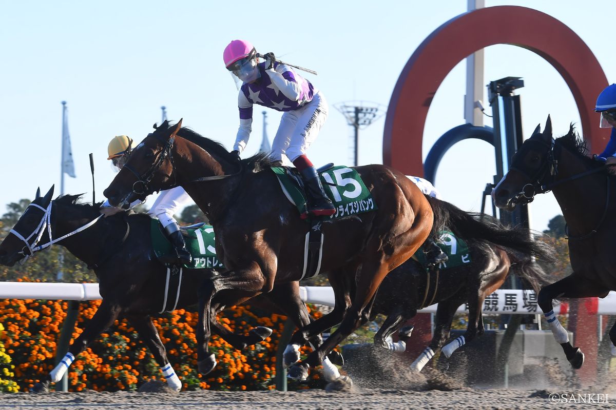 2024年みやこSを制した時のサンライズジパング