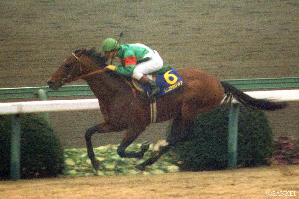 1985年有馬記念を制した時のシンボリルドルフ