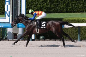 【カペラS 調教診断】抜群のS評価は2頭！注目のガビーズシスターやテーオーエルビスの状態は？