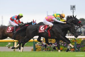 【中山大障害 前走レビュー】有力馬を10段階評価！10点満点は東京ハイジャンプで2着の…