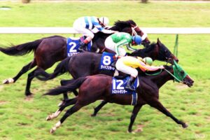 高齢馬G1勝利ランキング【第7位】浦和での快進撃から中央へ移籍！遅咲きのマイル王