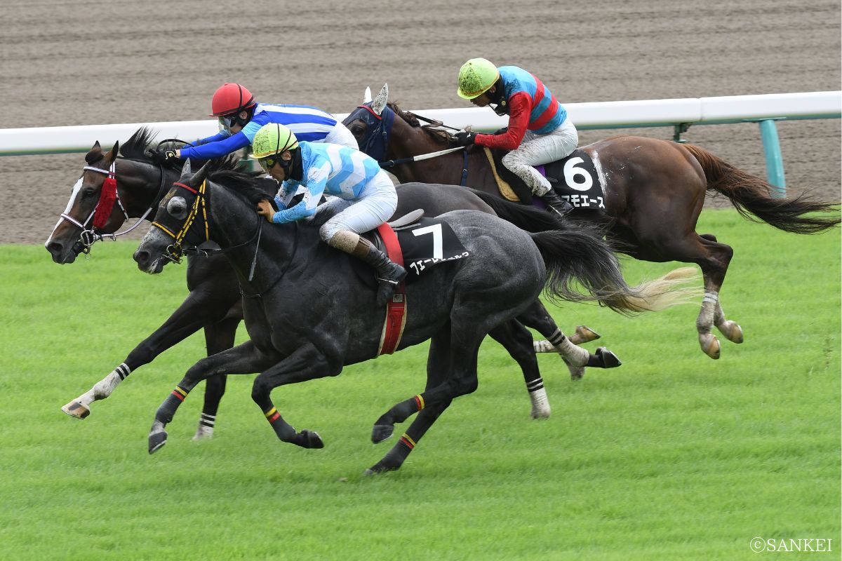 2025年清秋ジャンプSを制した時のフェーレンベルク