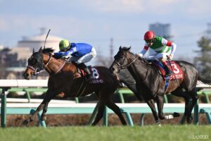 【中日新聞杯 調教診断】A評価は4頭の混戦！注目のシンハナーダやヴィンセンシオの状態は？