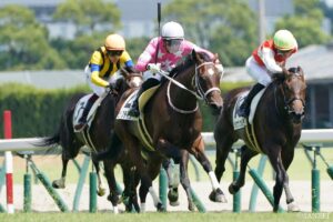 【WIN5研究所】12月20日（土）本線は28点！メインのターコイズSは、7点買いで穴待ち…