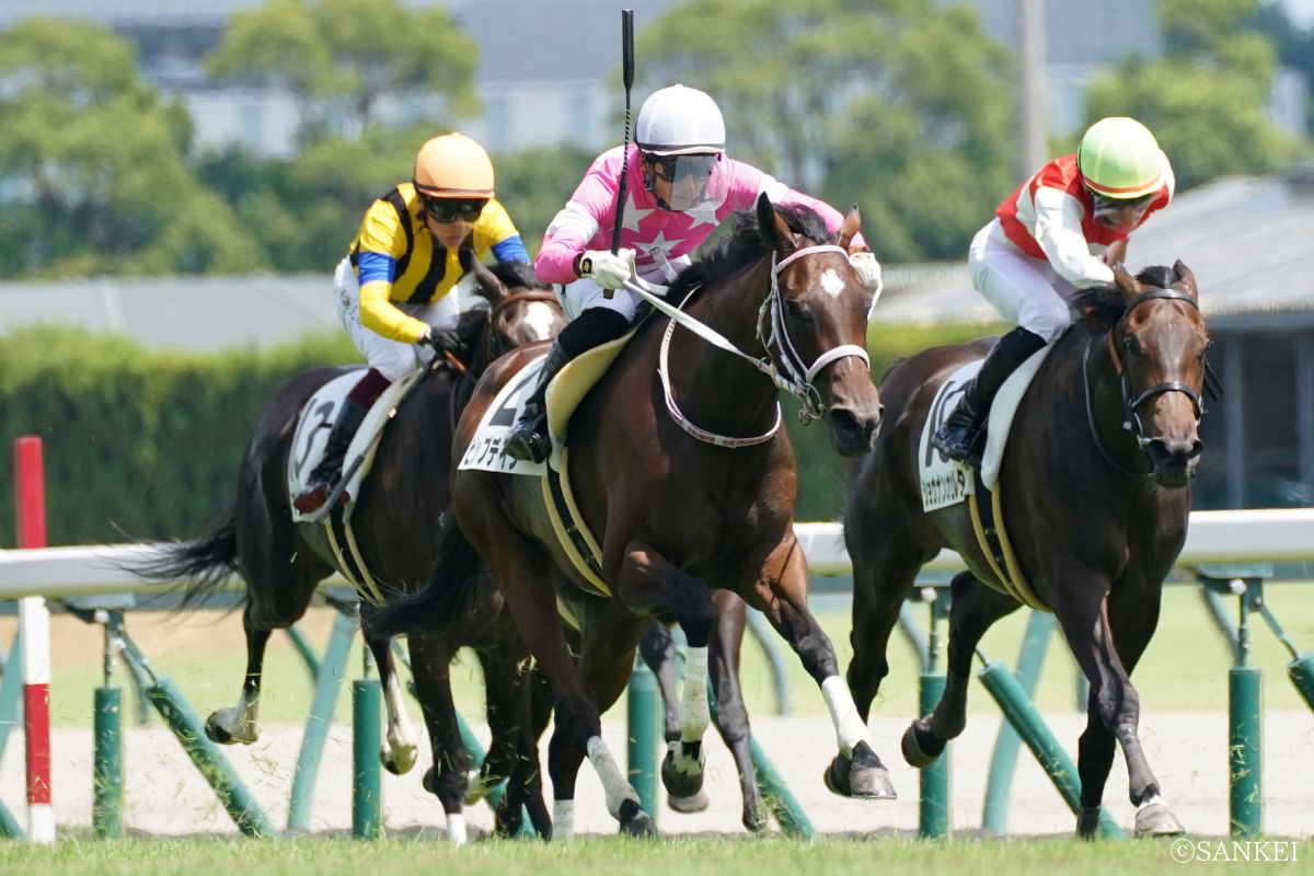 2024年8月18日中京・2歳新馬/1着ビップデイジー