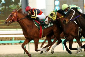 大人もお年玉がほしい！金杯3連単高配当ランキング【第3位】また来たの？中山金杯の鬼リピーターが参上！