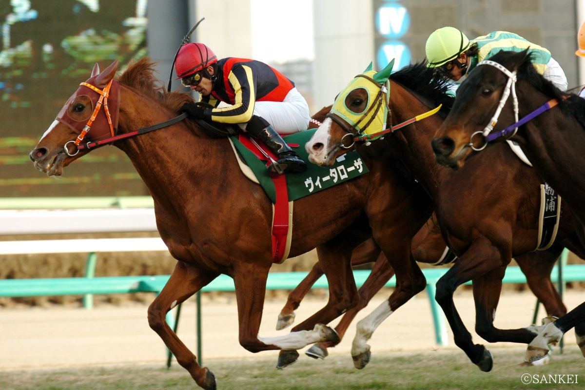 2006年中山金杯を制した時のヴィータローザ