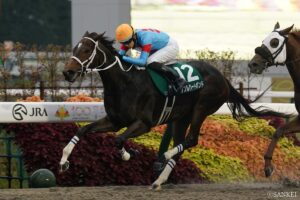 【チャンピオンズカップ能力分析】元トラックマンが有力馬を10段階評価！ルクソールカフェの総合評価は？