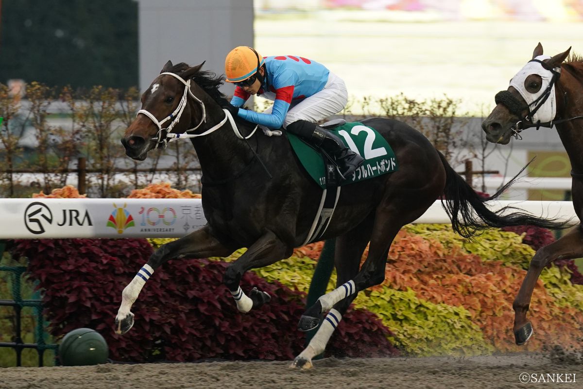 2025年みやこステークス