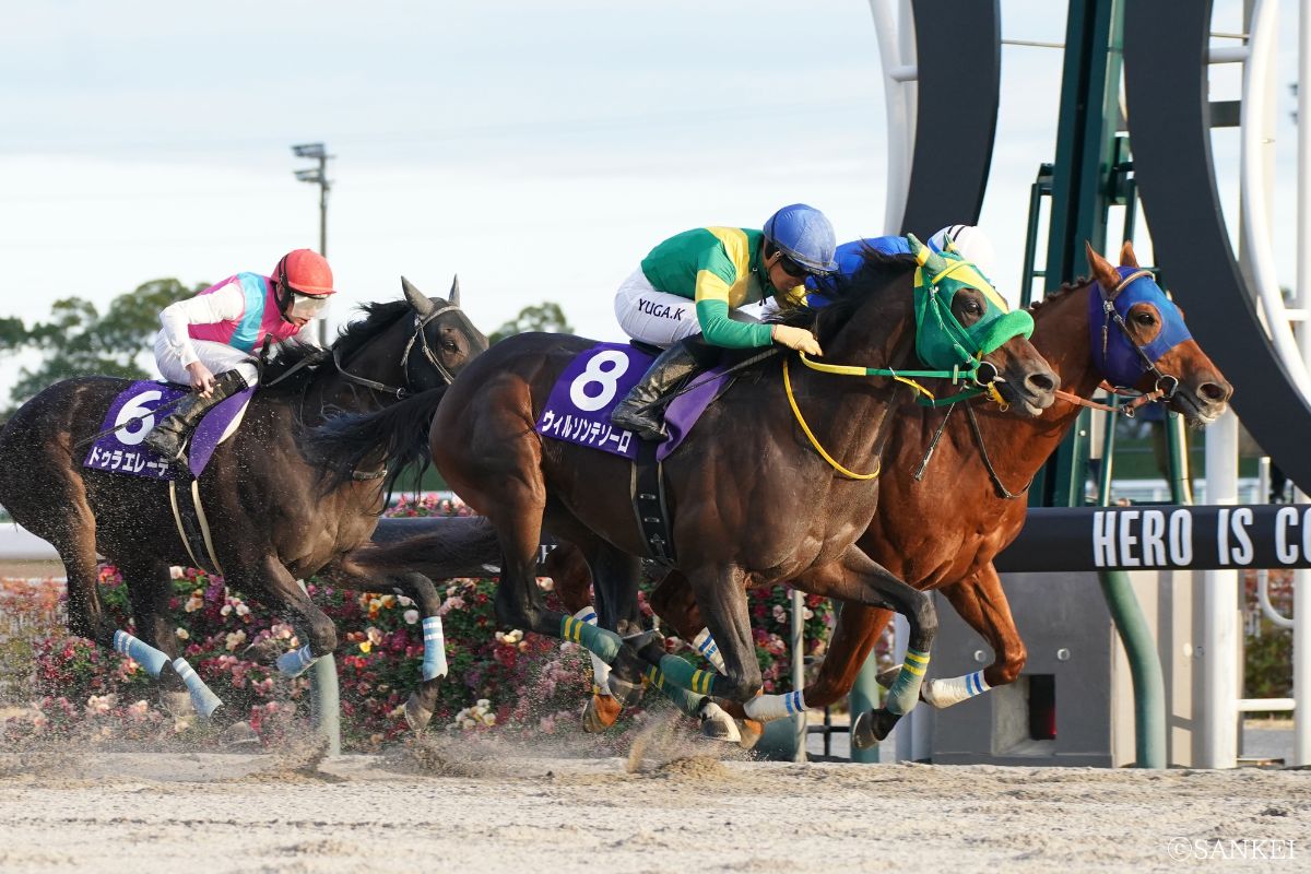 2024年チャンピオンズC/2着ウィルソンテソーロ