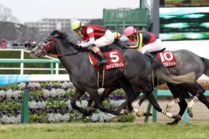 的中で人生激変…？WIN5歴代高額払戻金ランキング【第5位】4レース終了時点での生き残りは5人！最後まで生き残るのは…