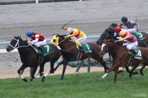 大人もお年玉がほしい！金杯3連単高配当ランキング【第4位】金杯でタイホー発射！34万馬券を演出